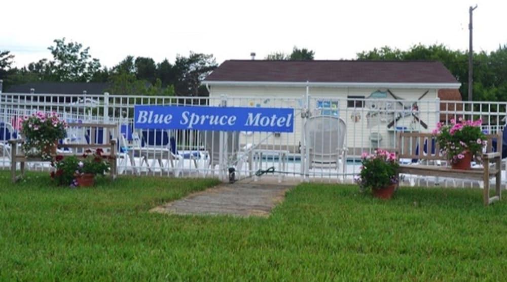 Blue Spruce Motel photo 13