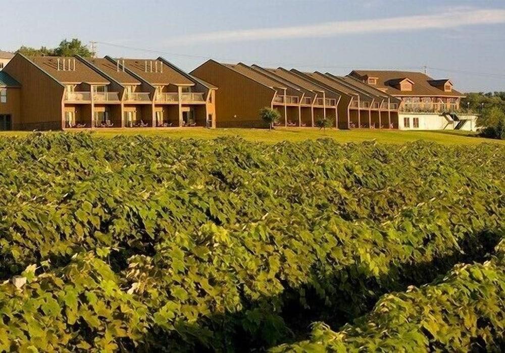 The Inn at Glenora Wine Cellars photo 1