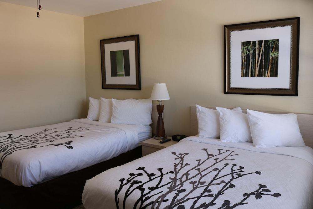 Miramar Beach Resort photo 52