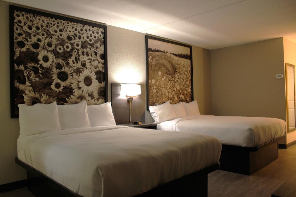 Boarders Inn & Suites photo 15