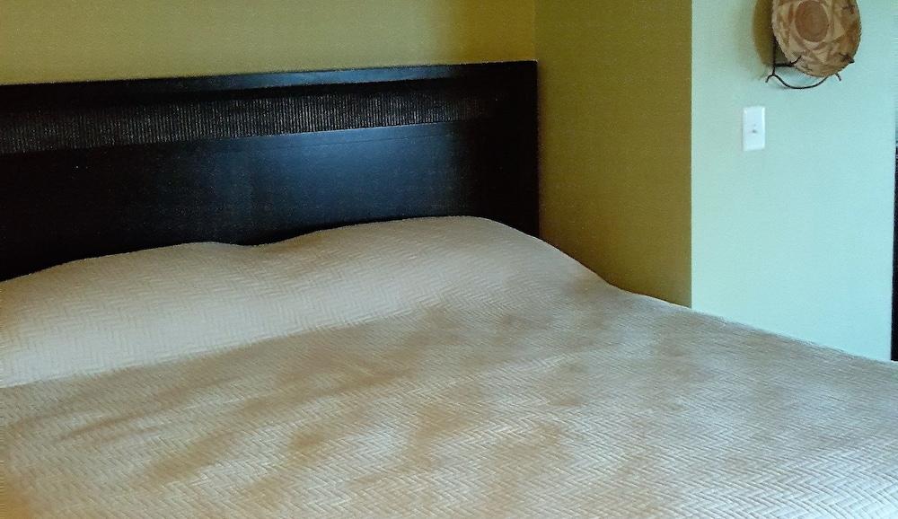 Silver Sands Motel photo 16