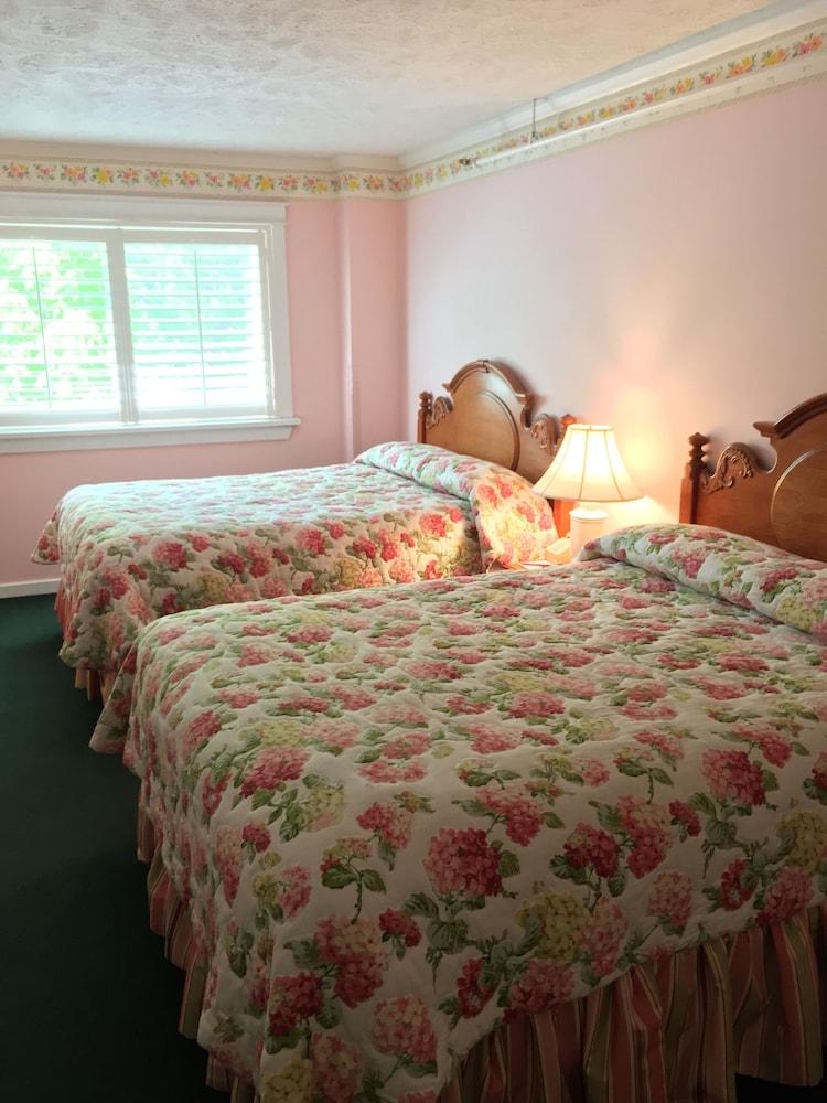 Lilac Tree Suites photo 8