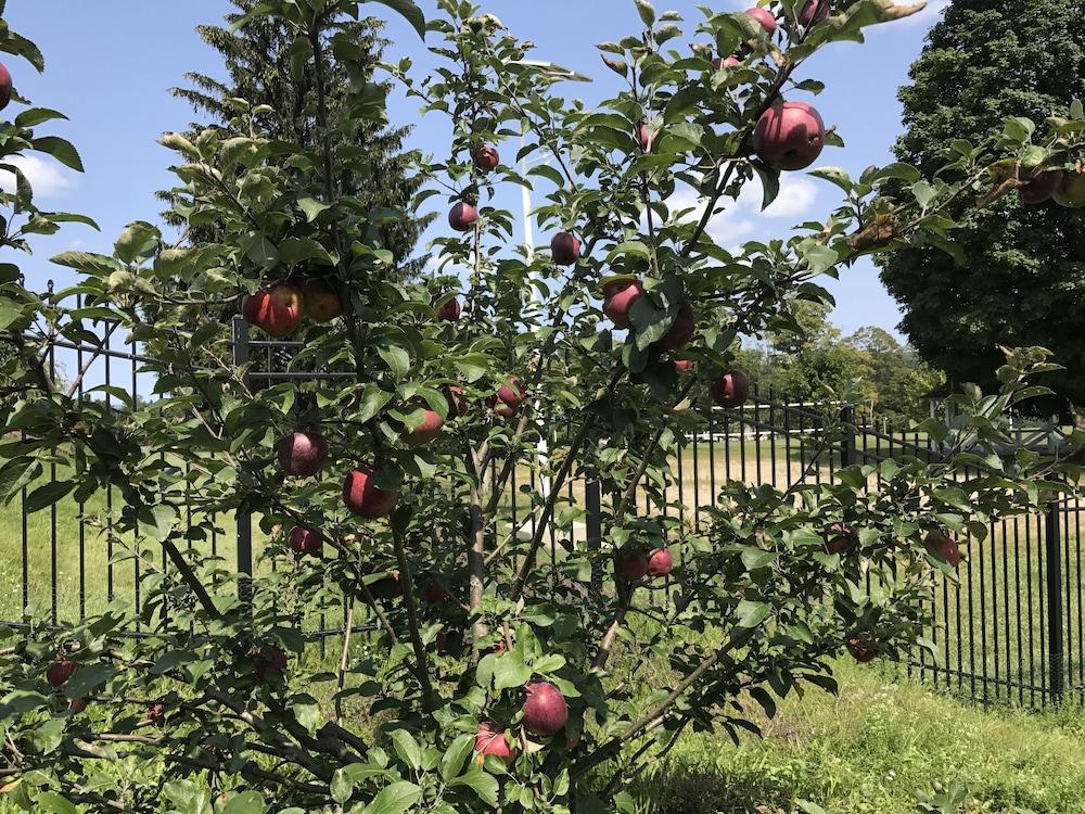 Eastover Estate & Eco-Village photo 44