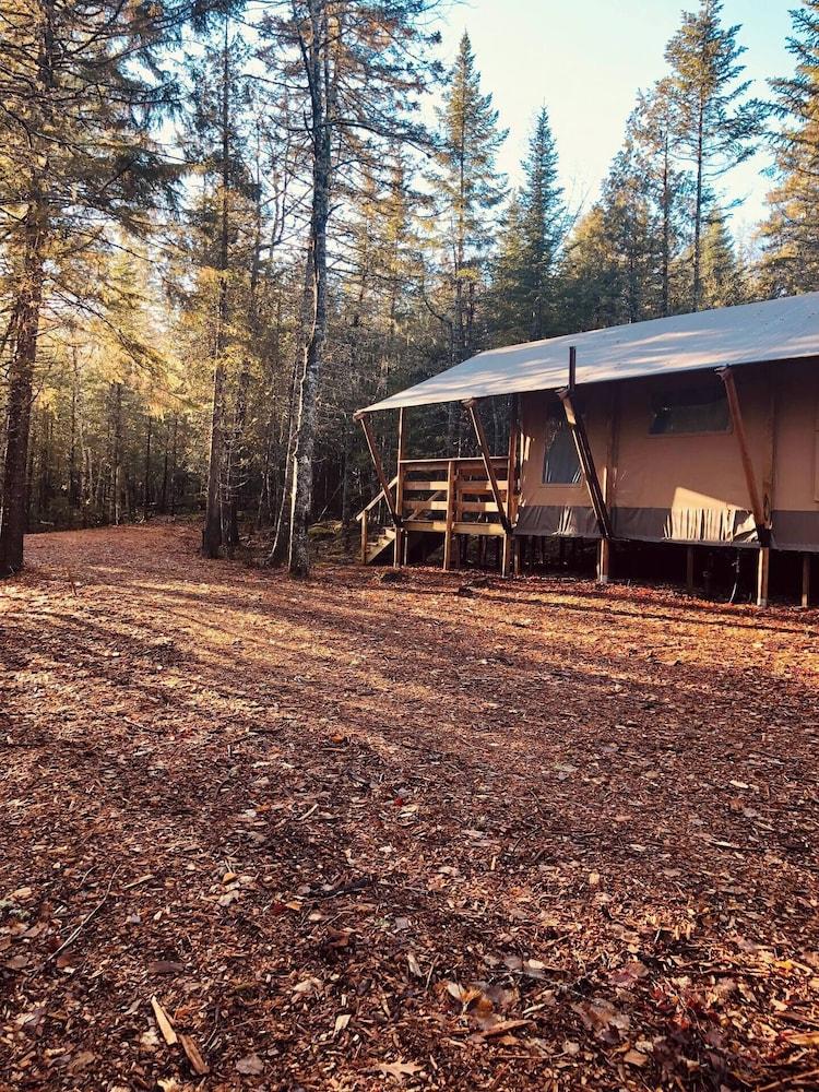 The Woods of Eden Glampground photo 25