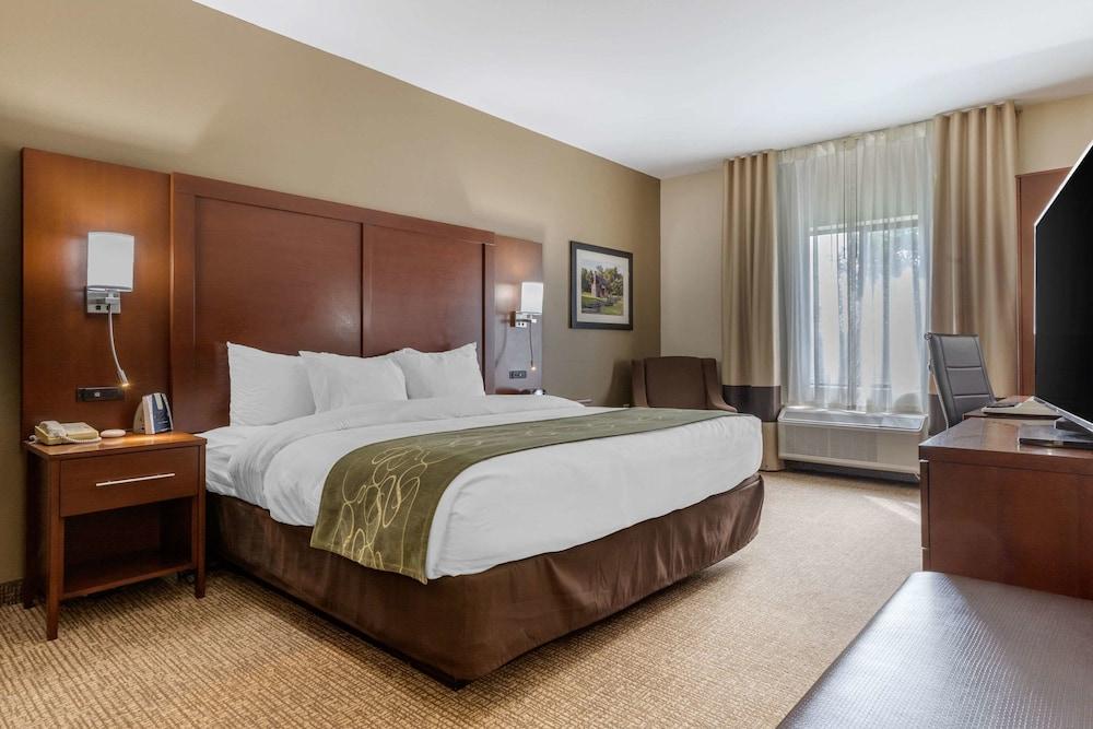 Comfort Suites Johnson City near University photo 22