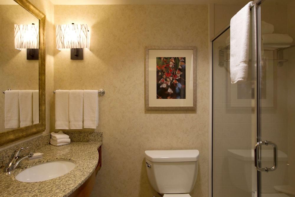 Hilton Garden Inn Cedar Falls photo 13