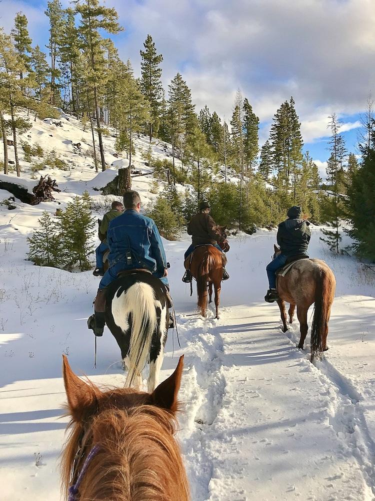 Dream Haven Guest Ranch photo 33