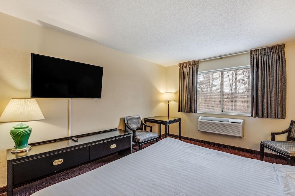 Econo Lodge Whitehall near Michigan's Adventure photo 6