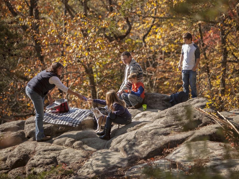 Pine Mountain State Resort Park photo 49
