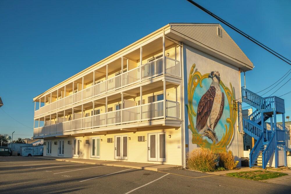 The Beach House at Drifting Sands photo 18