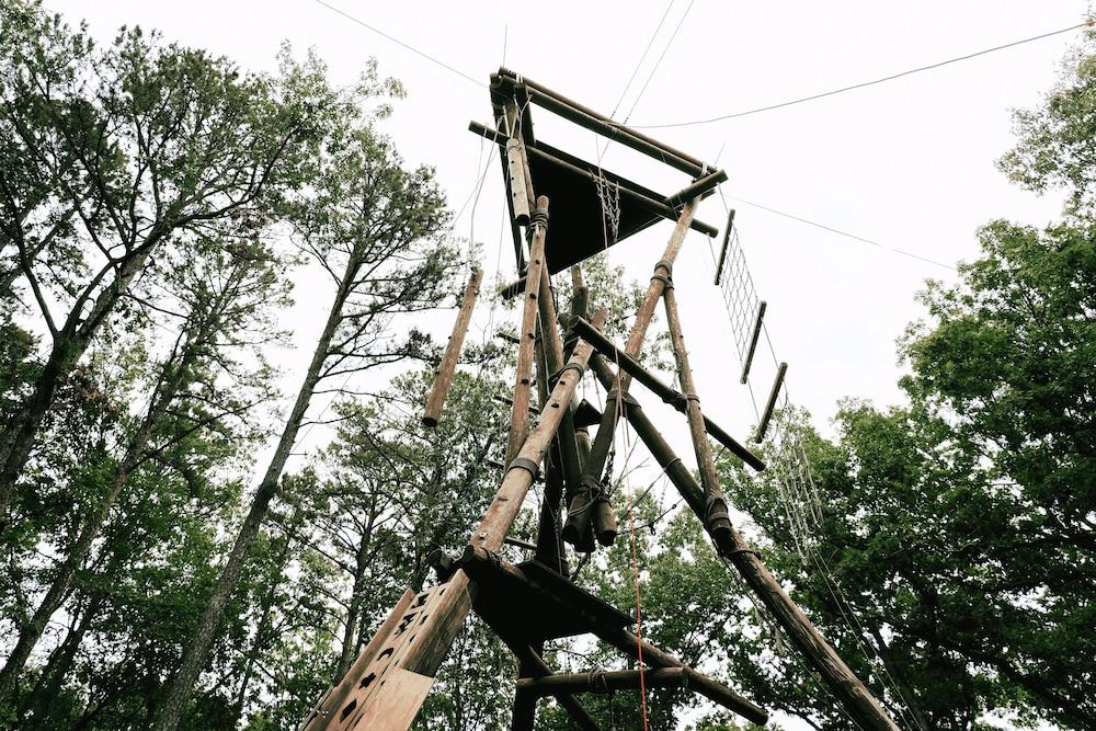 YMCA Trout Lodge photo 38