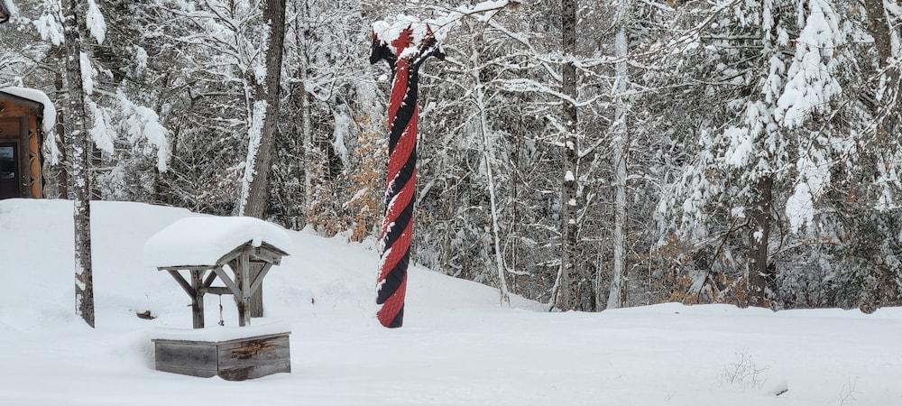 Vikings Villages Resort photo 54