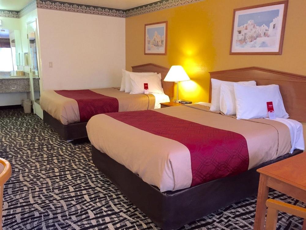 Executive Inn photo 5