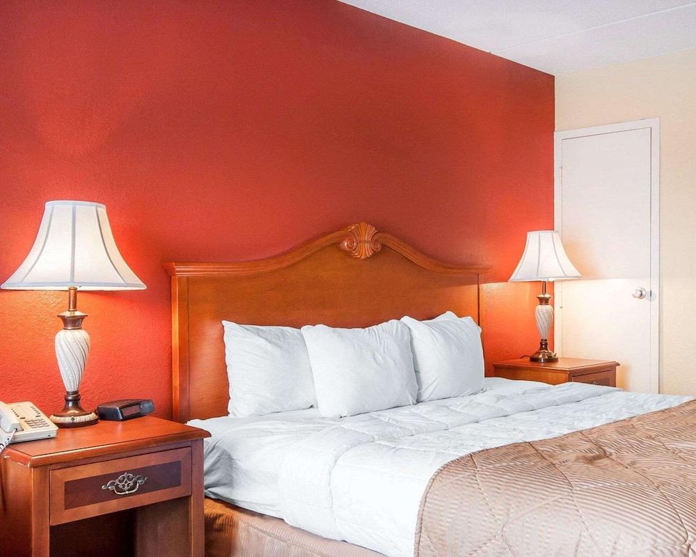 Clarion Inn & Suites University Center photo 11