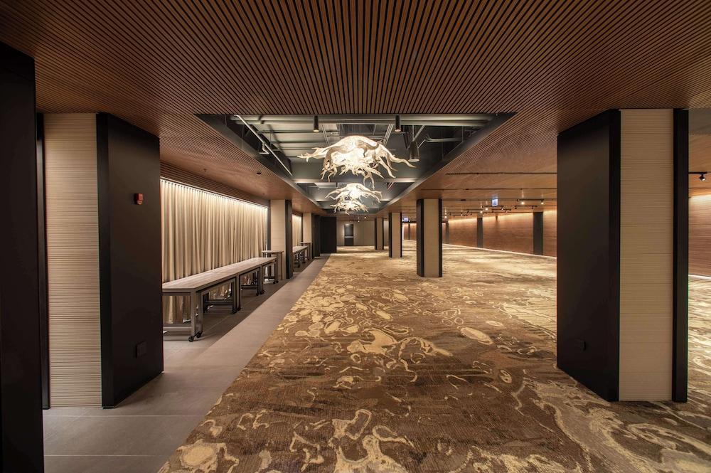 Hilton Chicago O'Hare Airport photo 36