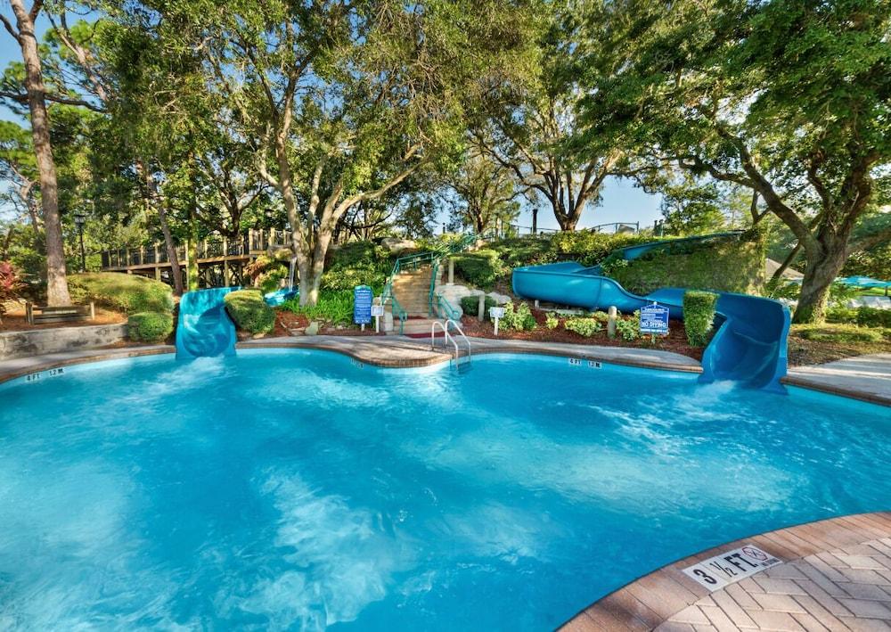 Innisbrook Resort photo 83