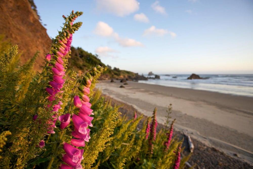 Inn at Cannon Beach photo 46