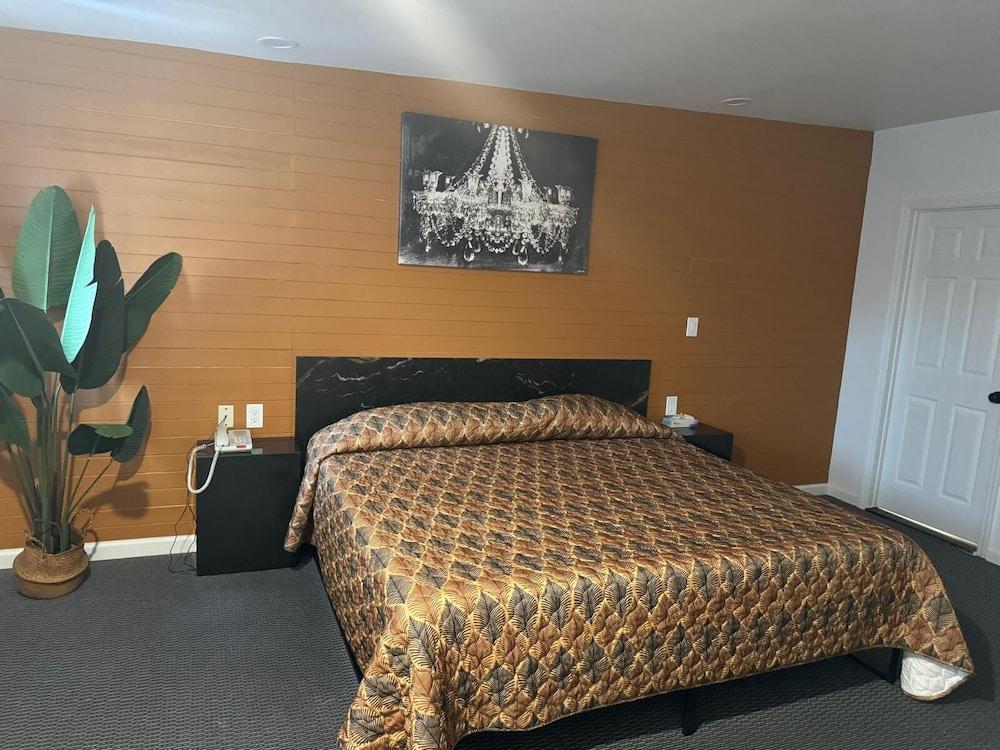 Domino Motel photo 5