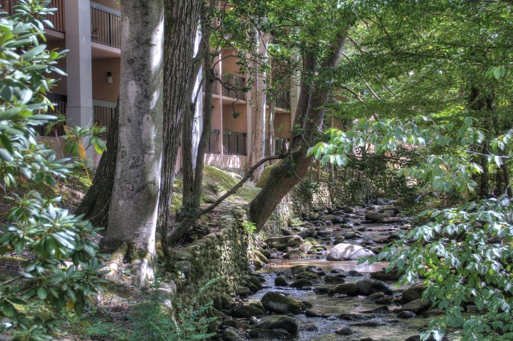 Hampton Inn Gatlinburg photo 29