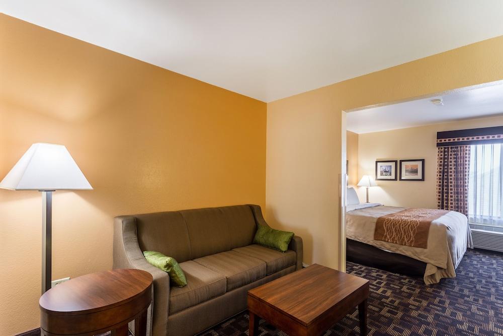 Comfort Inn & Suites North Aurora - Naperville photo 27