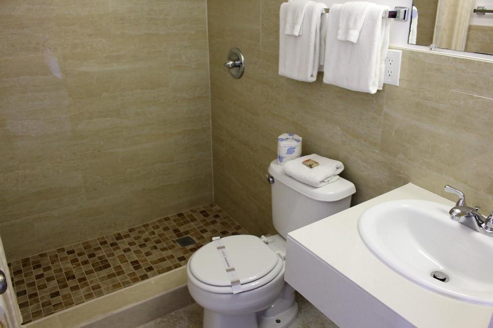 Lion Inn photo 6