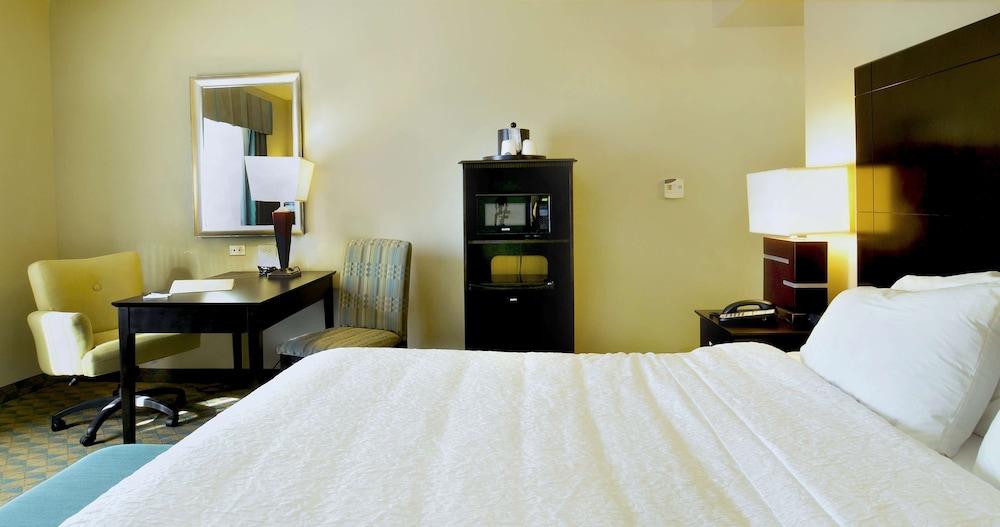 Hampton Inn Gadsden/Attalla I-59 photo 8