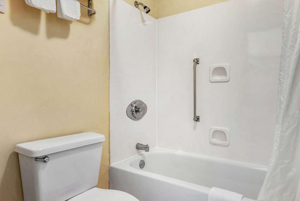 Econo Lodge Inn & Suites Forest photo 12