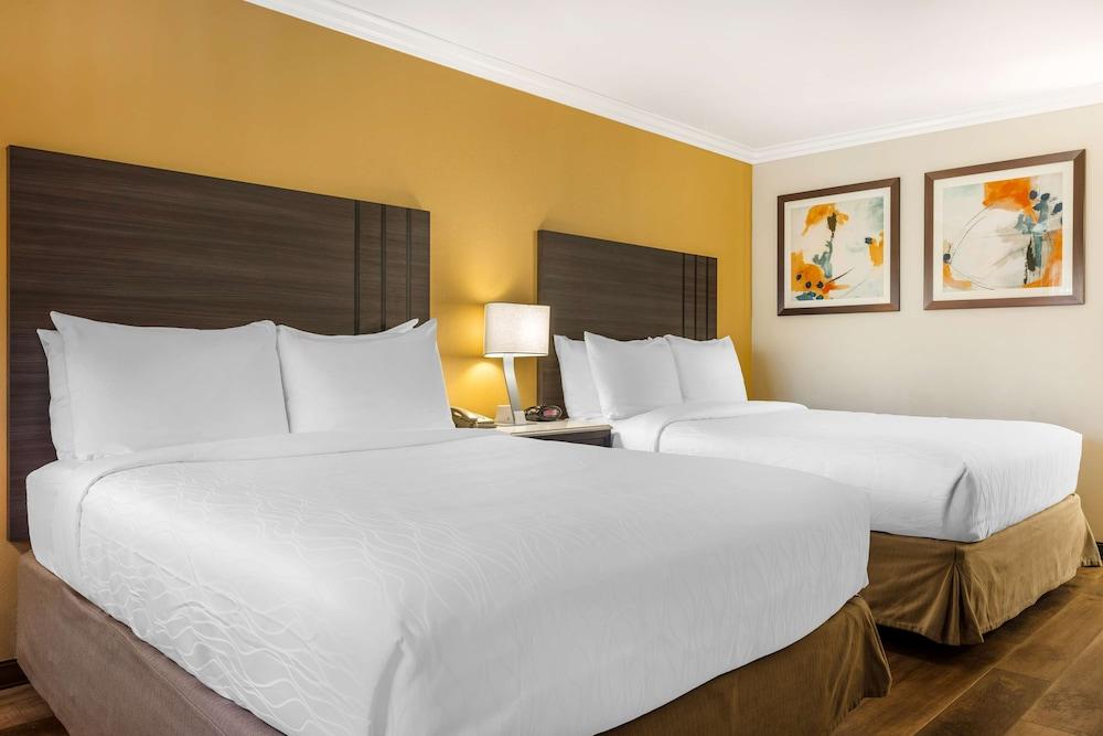 Best Western Plus Orange County Airport North photo 13