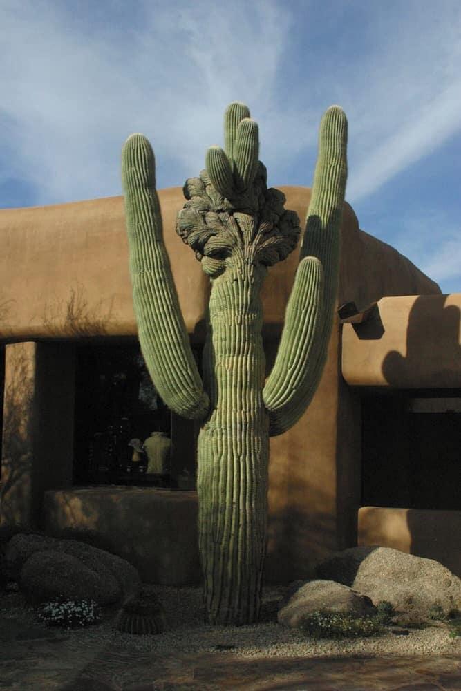Bposhtels Scottsdale photo 22