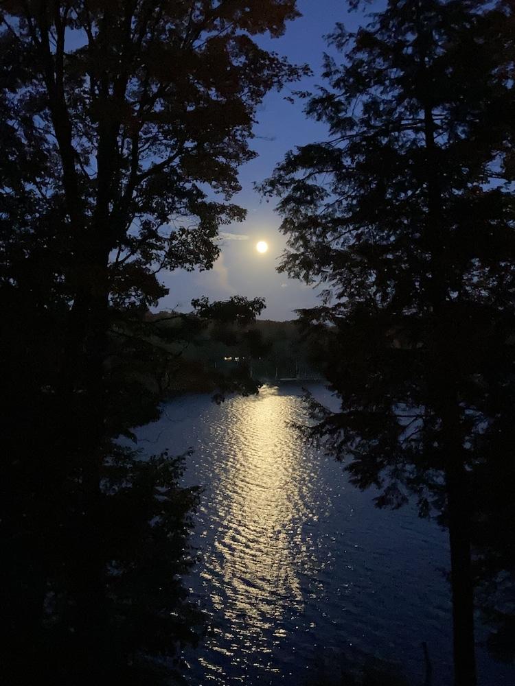Dixon Lake Resort photo 56