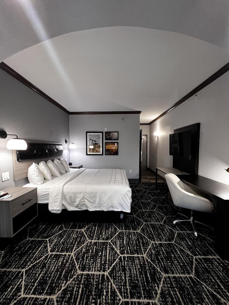 La Quinta Inn & Suites by Wyndham Big Spring photo 13