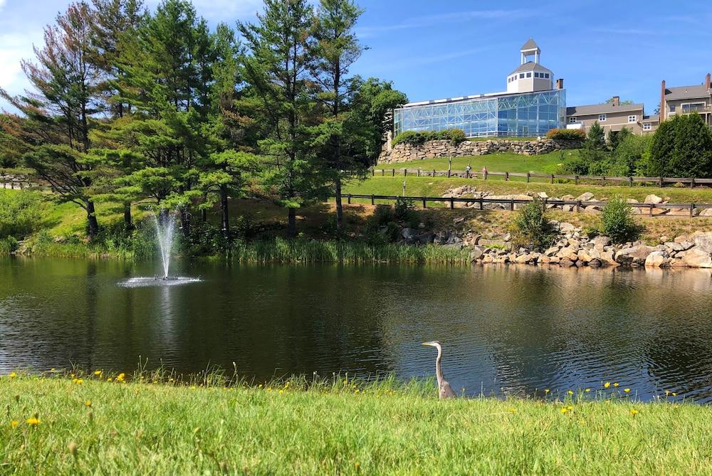 Steele Hill Resorts photo 1