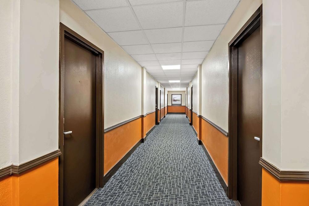 Econo Lodge Manistee photo 4