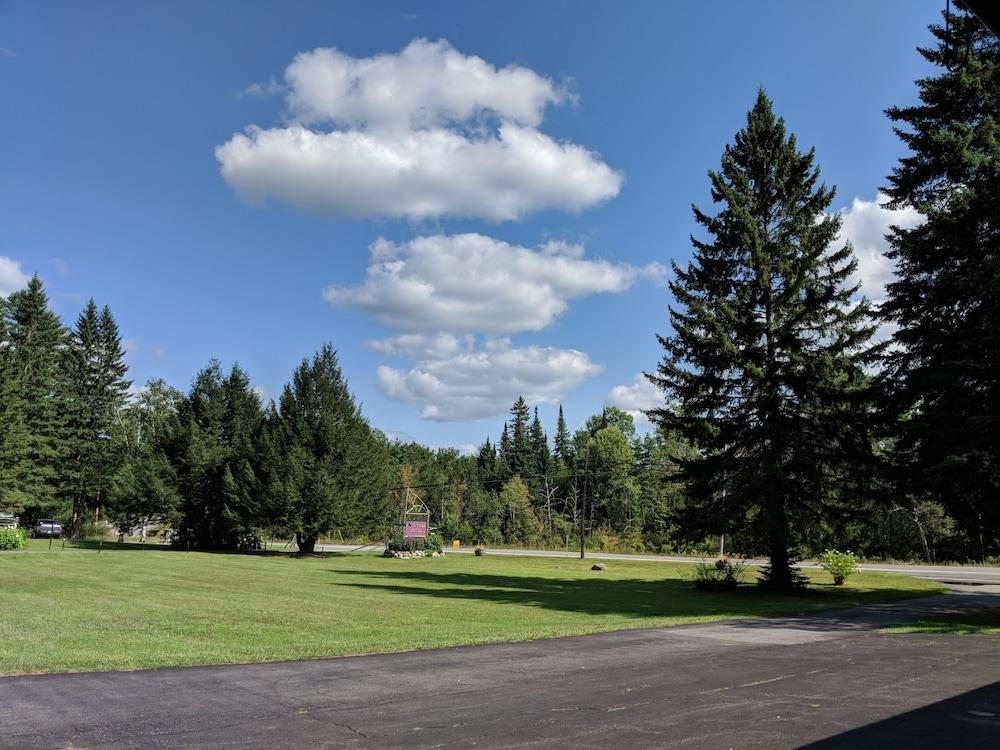 Pine Tree Motel & Cabins photo 36