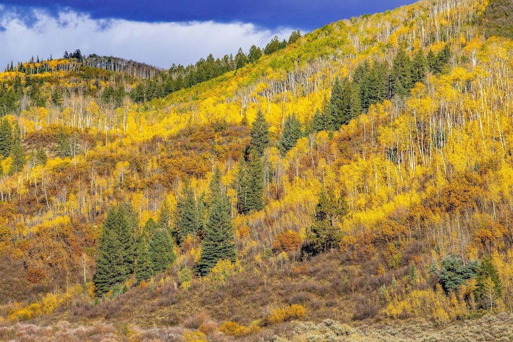 Grand Mesa Lodge photo 91