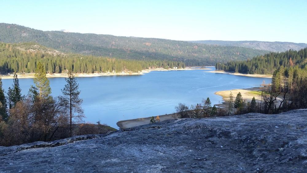 The Pines Resort photo 22