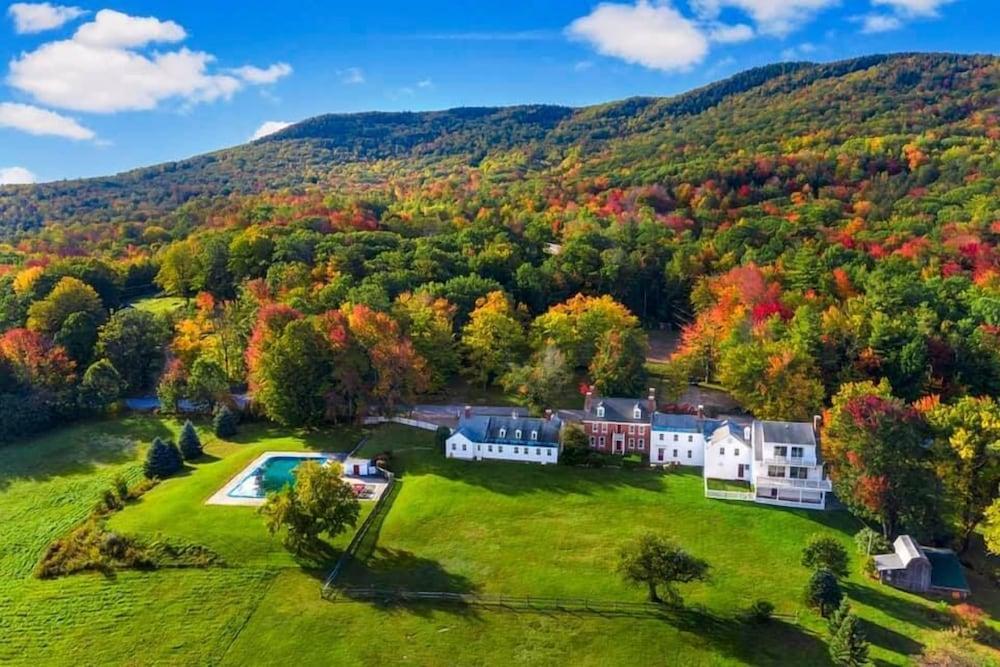 Blue Bear Inn photo 12