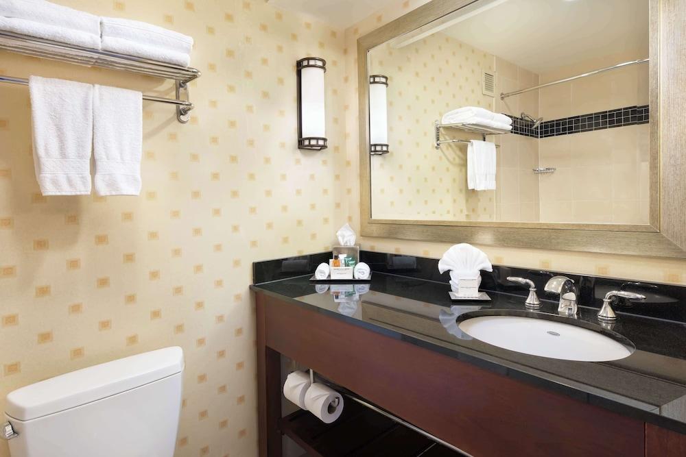 Hilton Chicago O'Hare Airport photo 63
