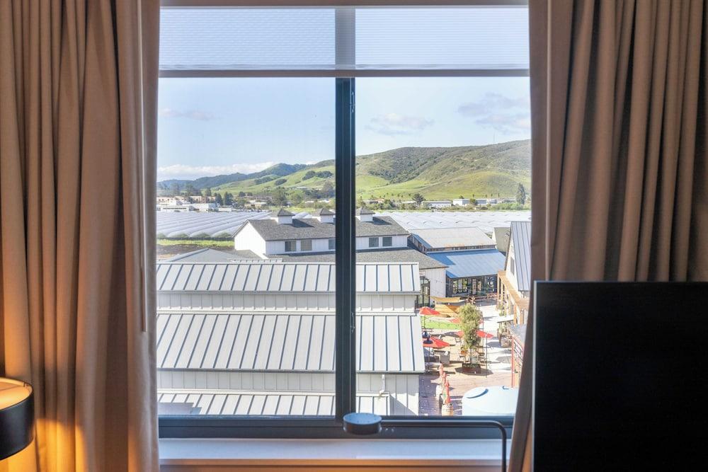 SpringHill Suites by Marriott San Luis Obispo photo 48