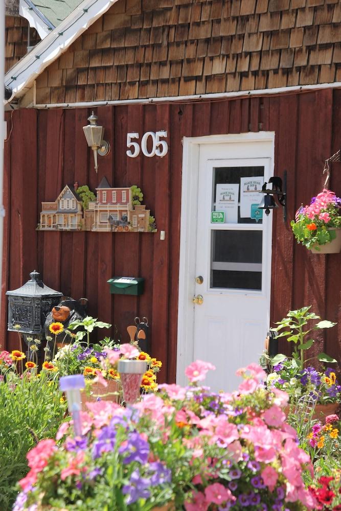 Black Bear Inn photo 4