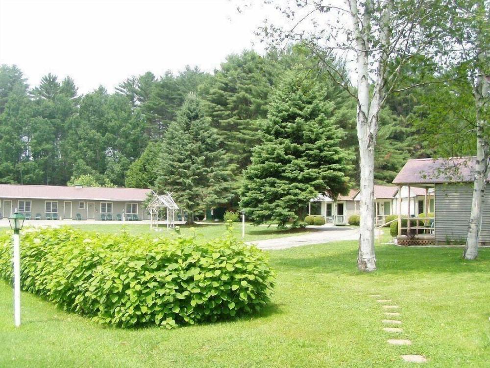 Pine Tree Motel & Cabins photo 22