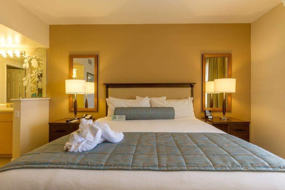 Grand Pacific Palisades photo 71