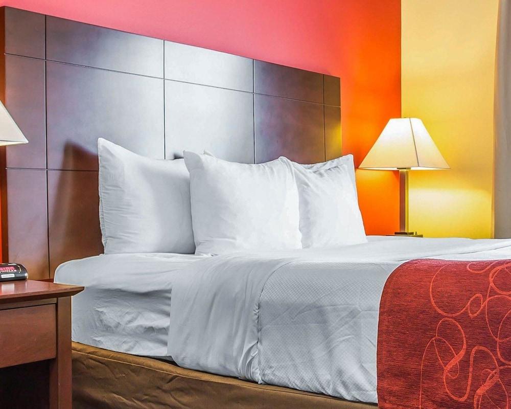 Comfort Suites Rock Hill Manchester Meadows Area photo 10