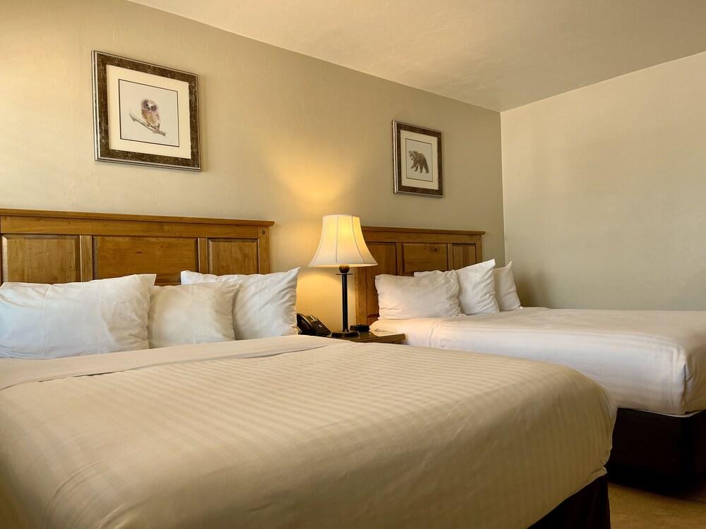 Arizona Sunset Inn photo 34