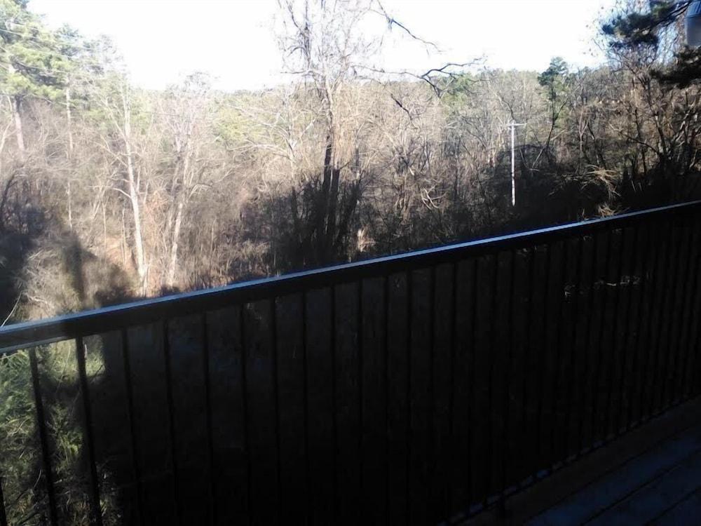 The Razorback Lodge photo 39