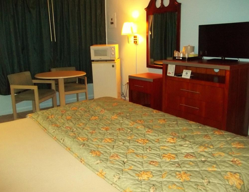 Royal Motel photo 33