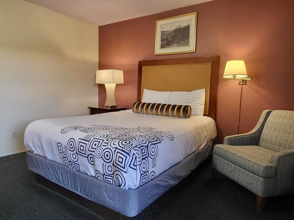 Star Inn photo 12
