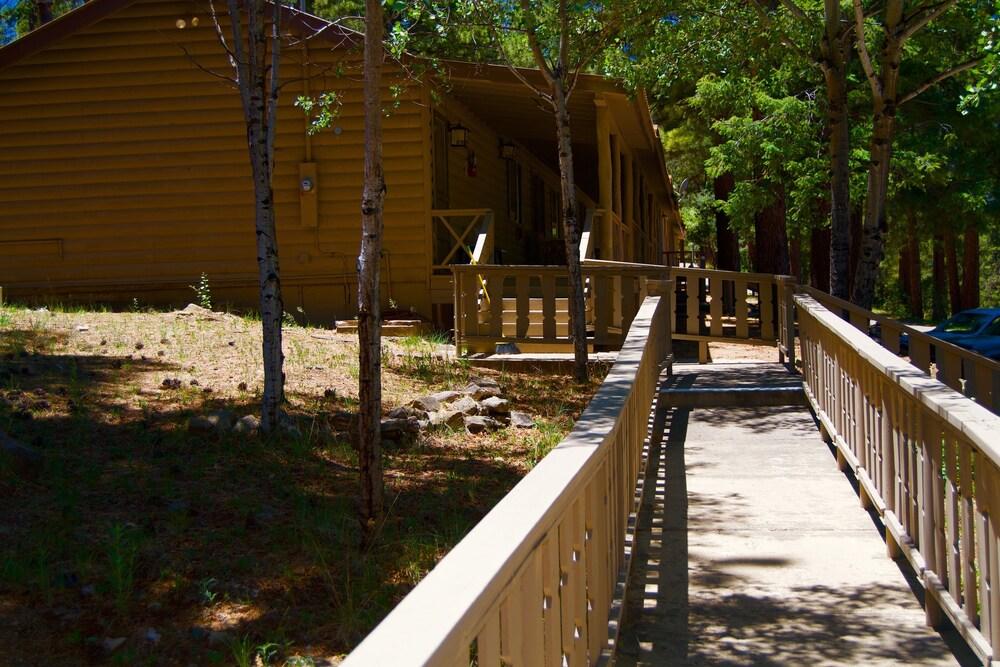 Pendaries Village Lodge photo 10