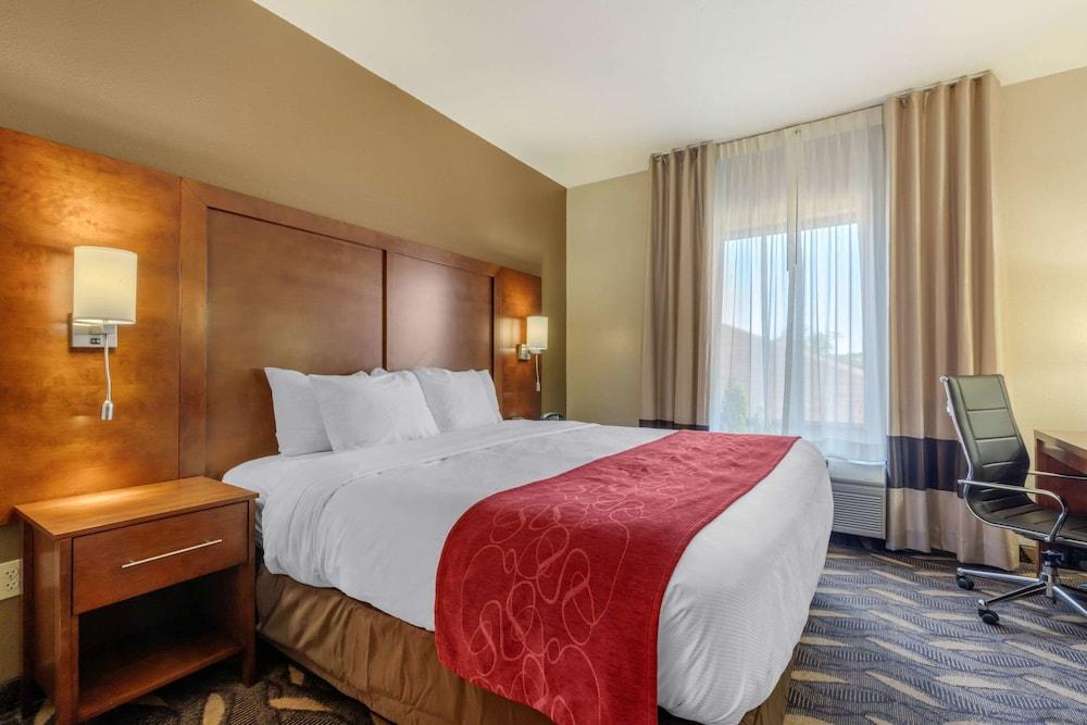 Comfort Suites Rolla photo 8