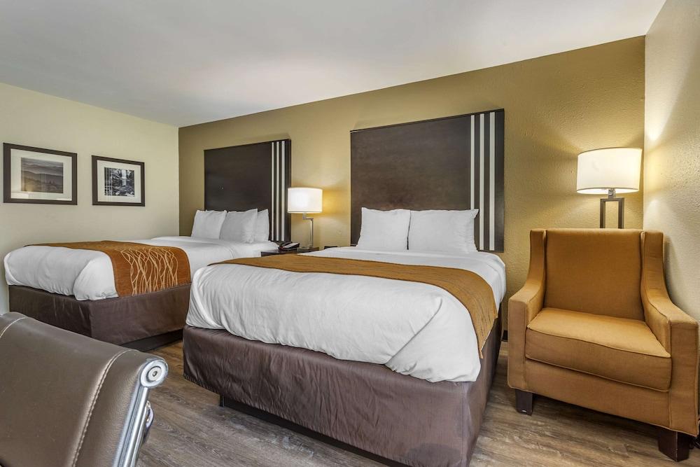 Comfort Inn Marion near Downtown & Blue Ridge PKWY photo 24